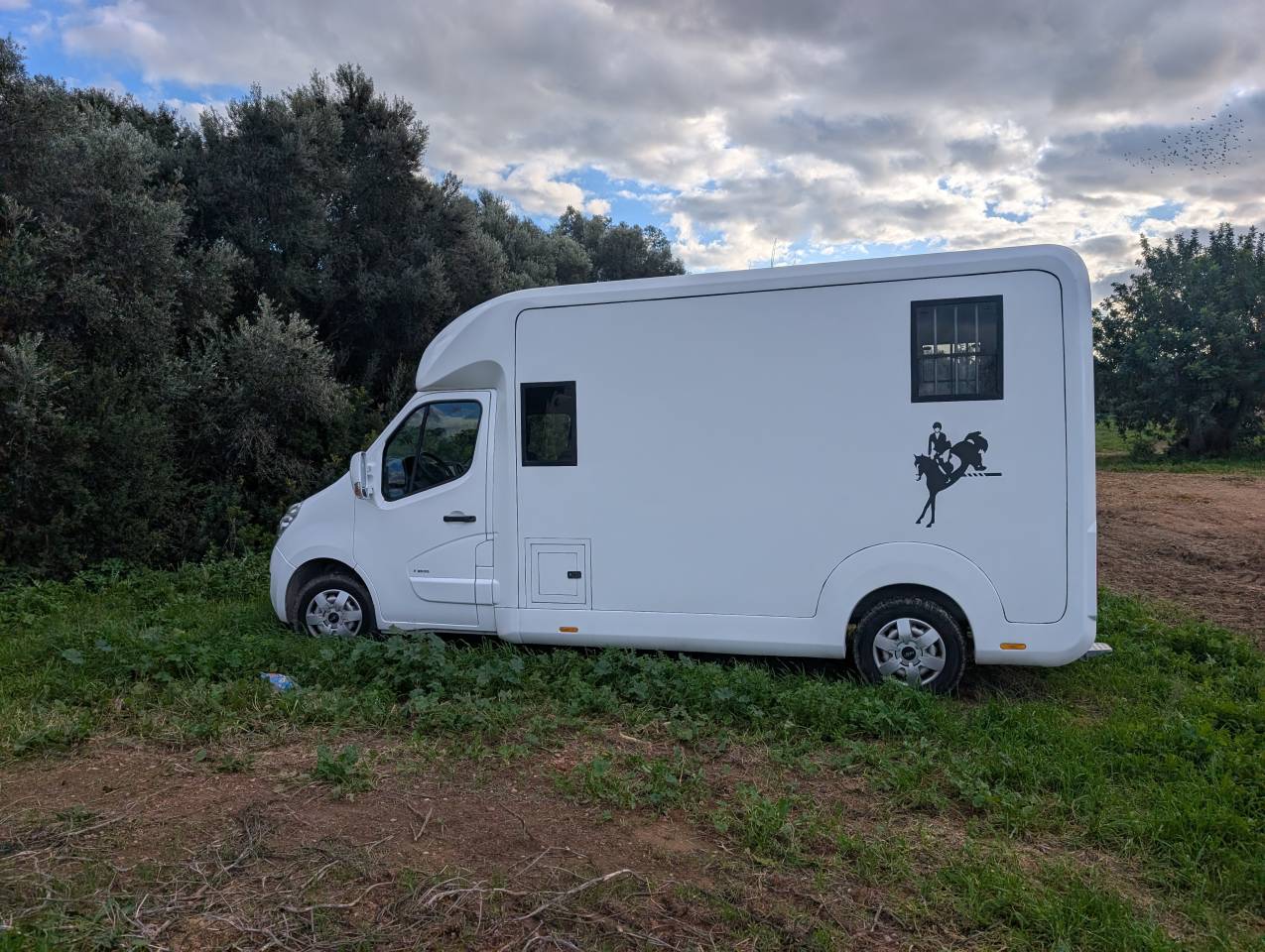Van per Cavalli Opel Movano 2018 Occasione