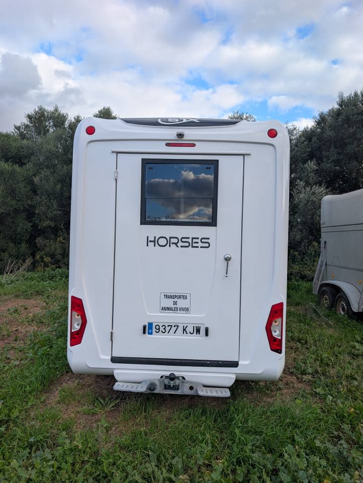 Van per Cavalli Opel Movano 2018 Occasione