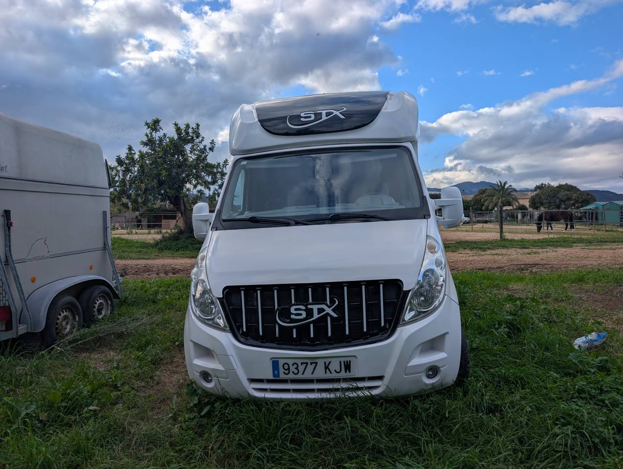 Van per Cavalli Opel Movano 2018 Occasione