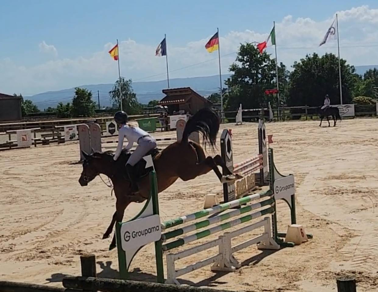 Cavalla PFS Pony Francese da Sella In vendita 2021 Baio ,  Etadam d&rsquo;Odival