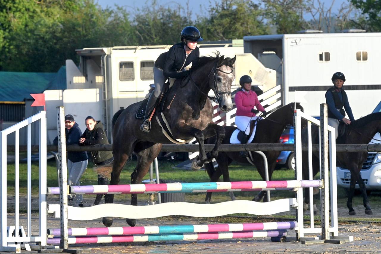 Cavalla Sella Francese In vendita 2022 Grigio