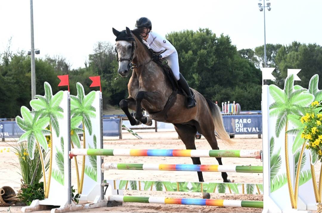 Cavalla Sella Francese In vendita 2022 Grigio ,  Cooper VD Heffnick 
