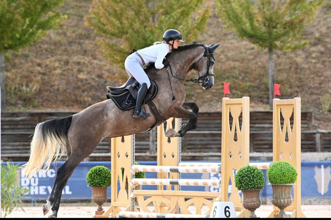 Cavalla Sella Francese In vendita 2022 Grigio ,  Cooper VD Heffnick 