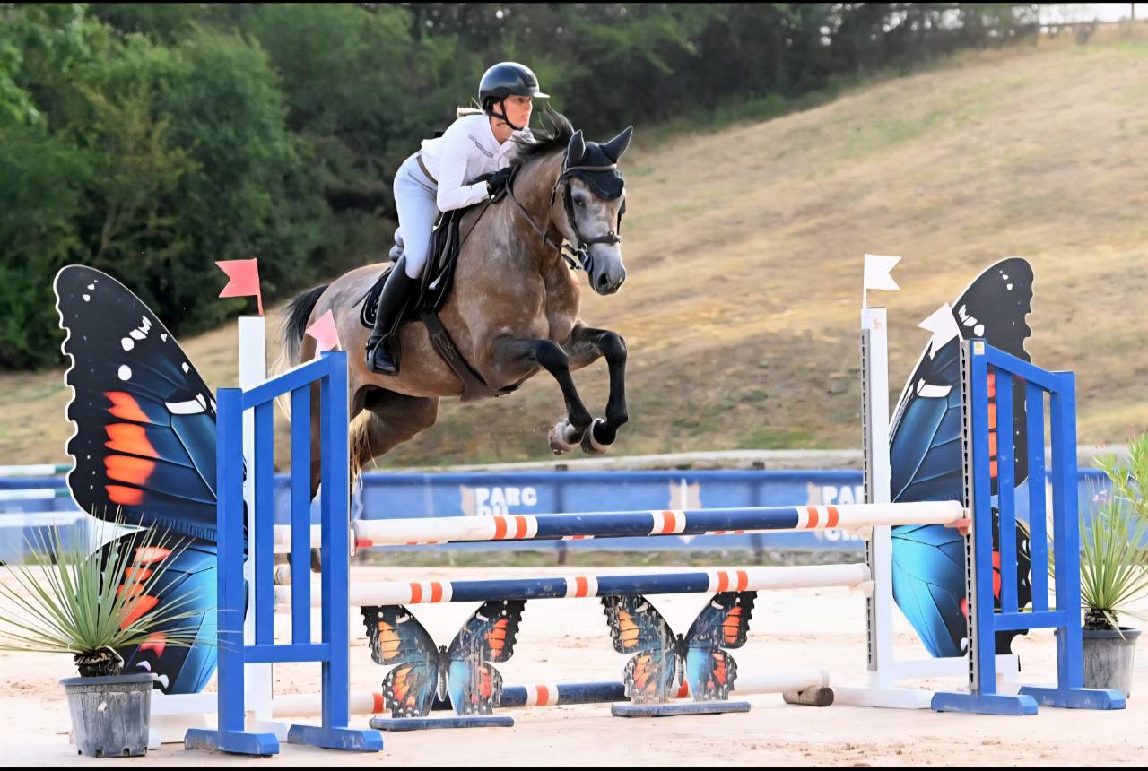 Cavalla Sella Francese In vendita 2022 Grigio ,  Cooper VD Heffnick 
