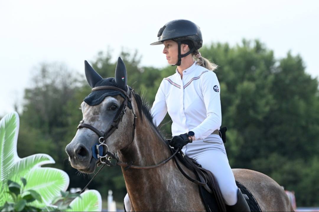 Cavalla Sella Francese In vendita 2022 Grigio ,  Cooper VD Heffnick 