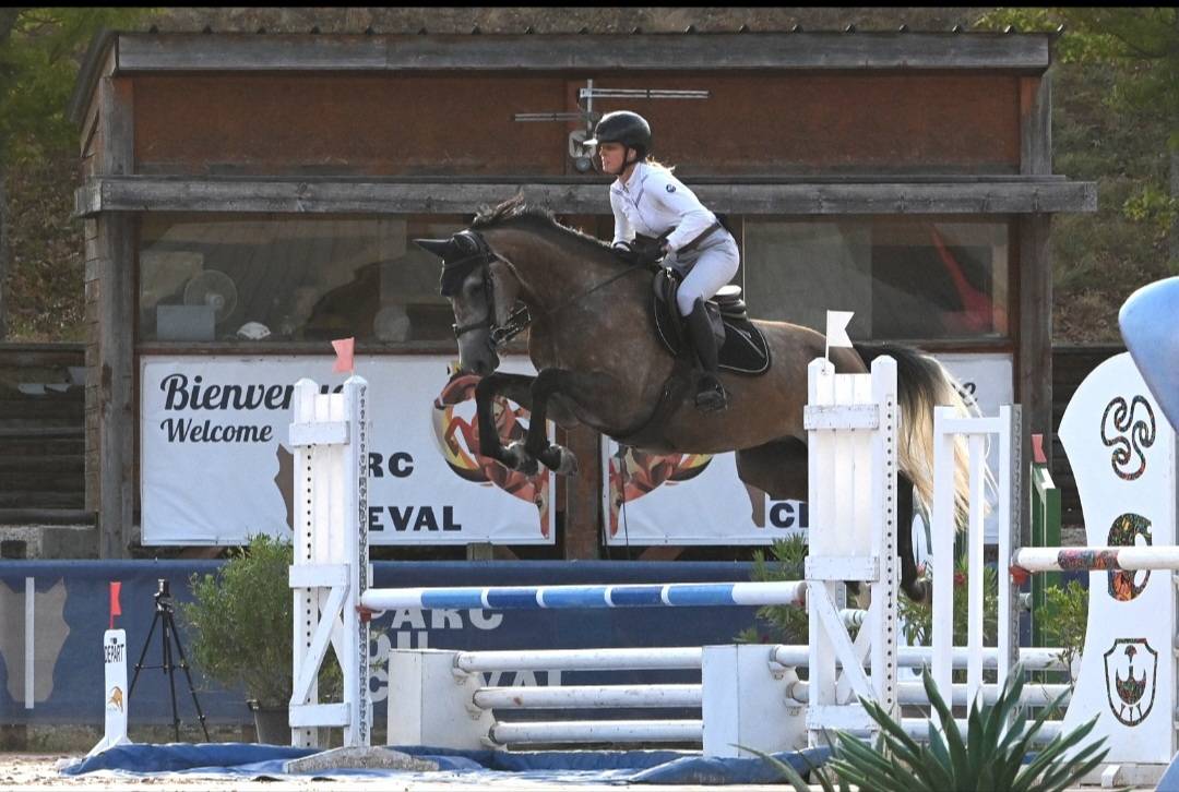Cavalla Sella Francese In vendita 2022 Grigio ,  Cooper VD Heffnick 