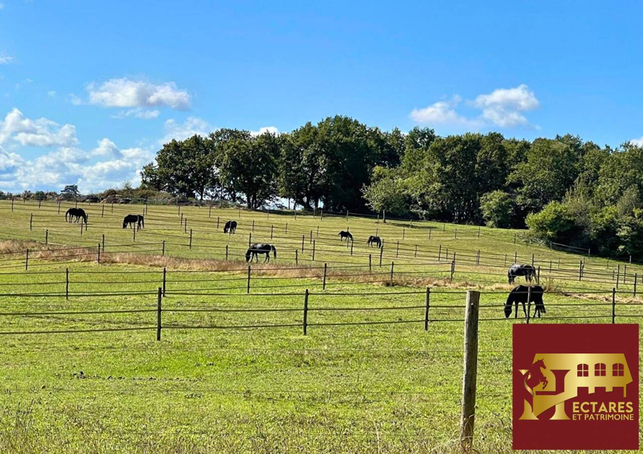 Propriet&agrave; equestre In vendita Dordogne