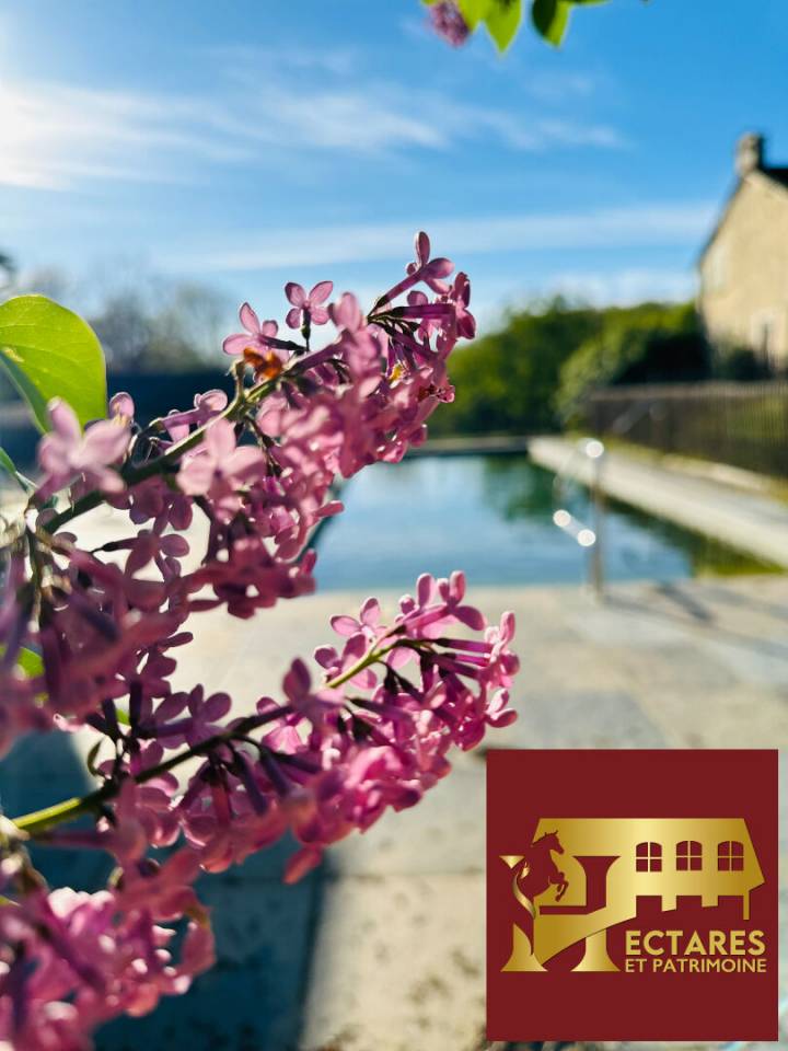 Propriet&agrave; equestre In vendita Dordogne