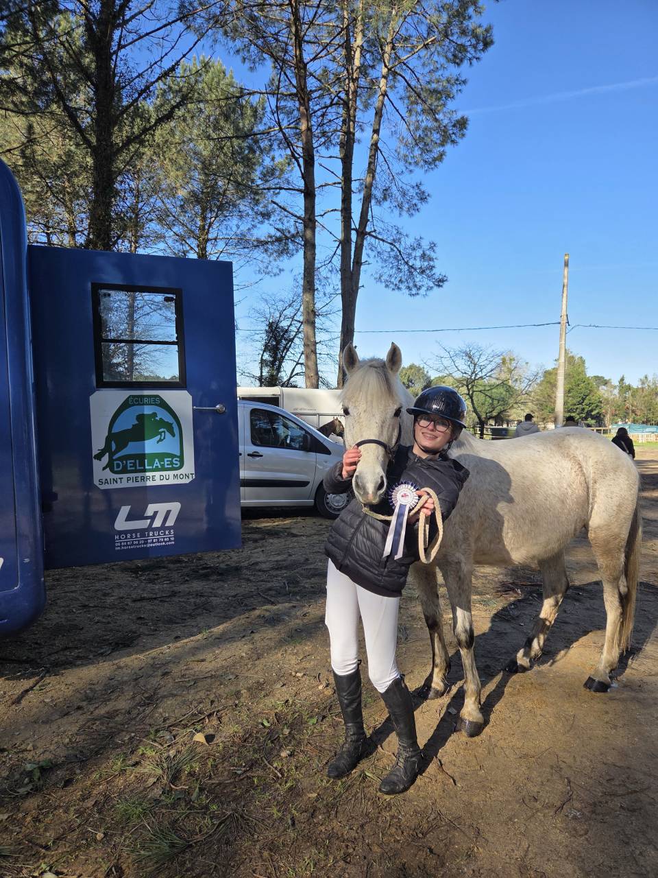 Castrone PFS Pony Francese da Sella In vendita 2018 Grigio