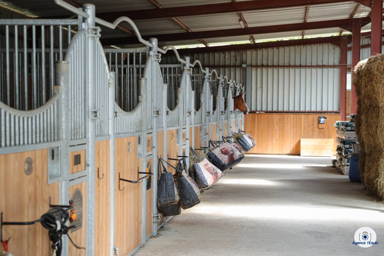 Les &eacute;curies de Marenoire  