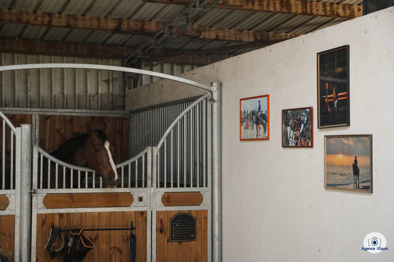 Les &eacute;curies de Marenoire  