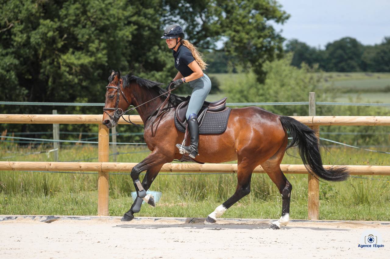 Les &eacute;curies de Marenoire  