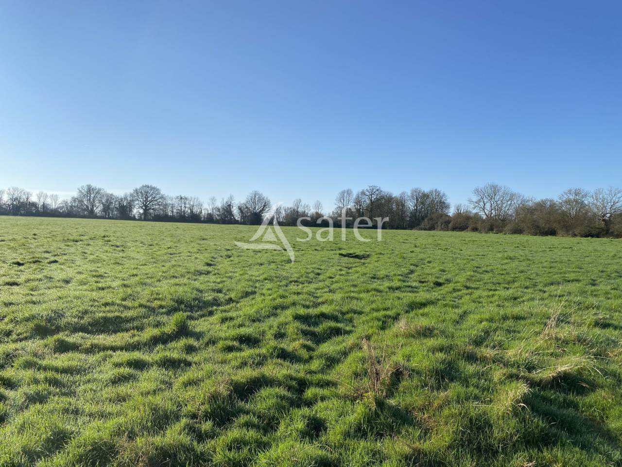 Azienda agricola In vendita Calvados