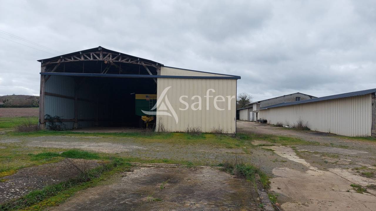 Azienda ovina In vendita Deux-S&egrave;vres