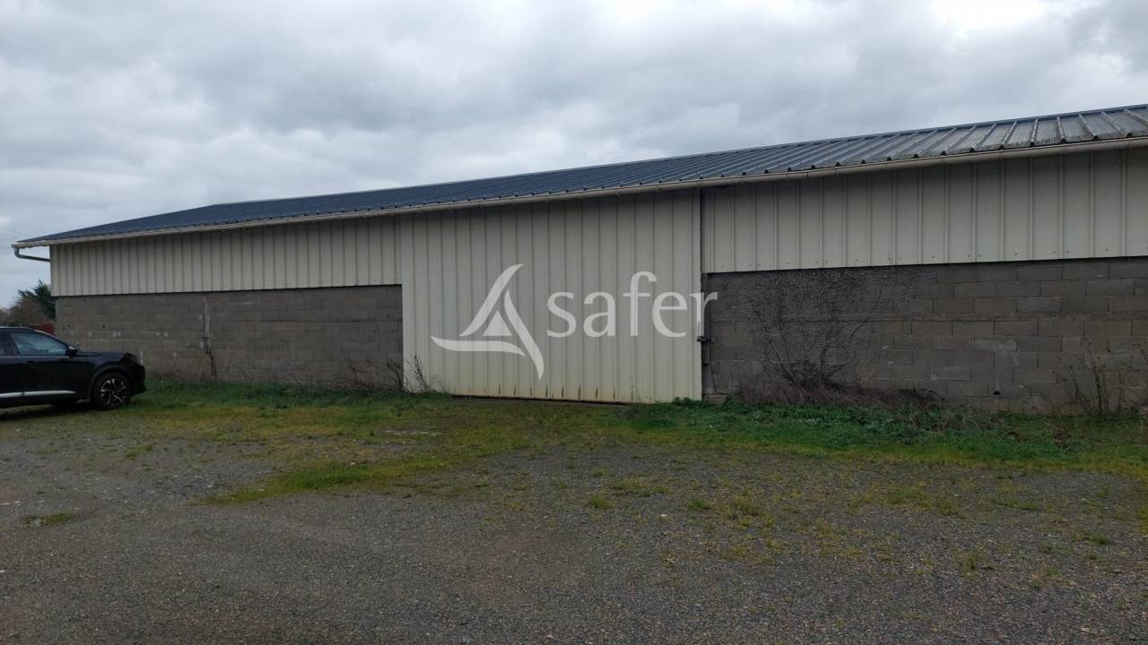 Azienda ovina In vendita Deux-S&egrave;vres