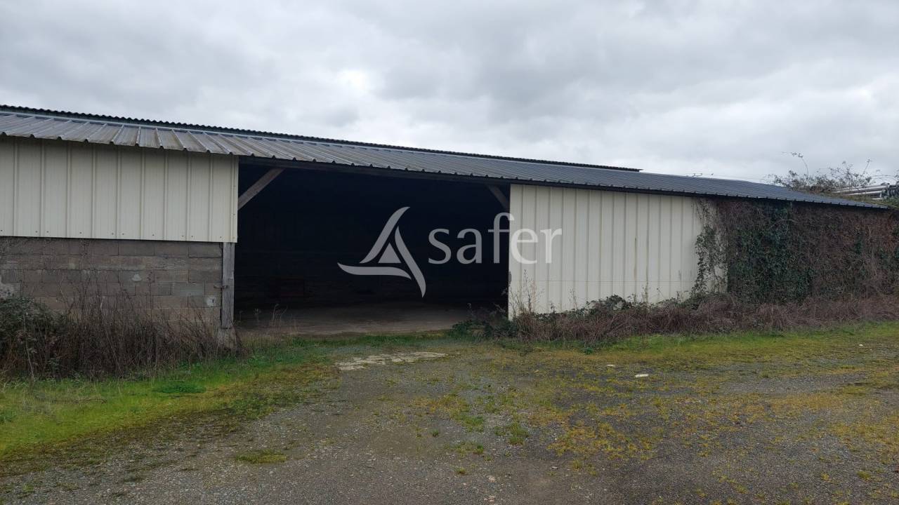 Azienda ovina In vendita Deux-S&egrave;vres