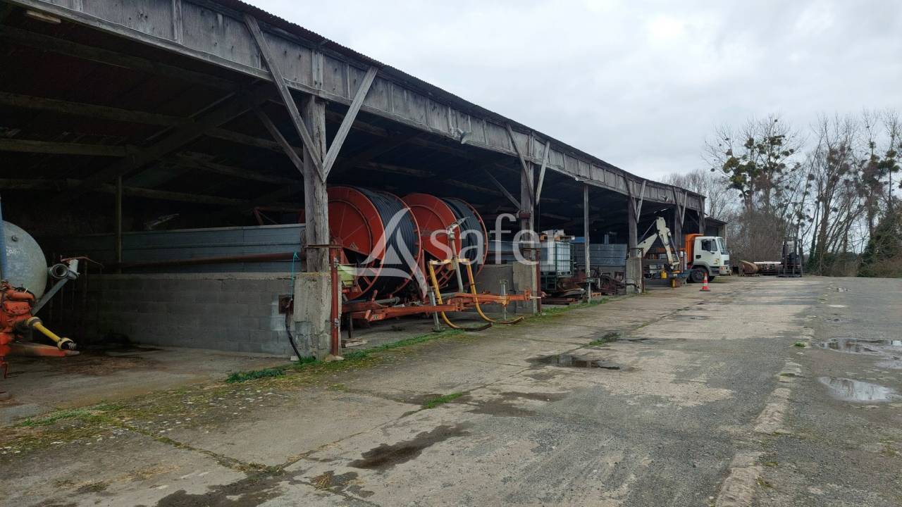 Azienda ovina In vendita Deux-S&egrave;vres