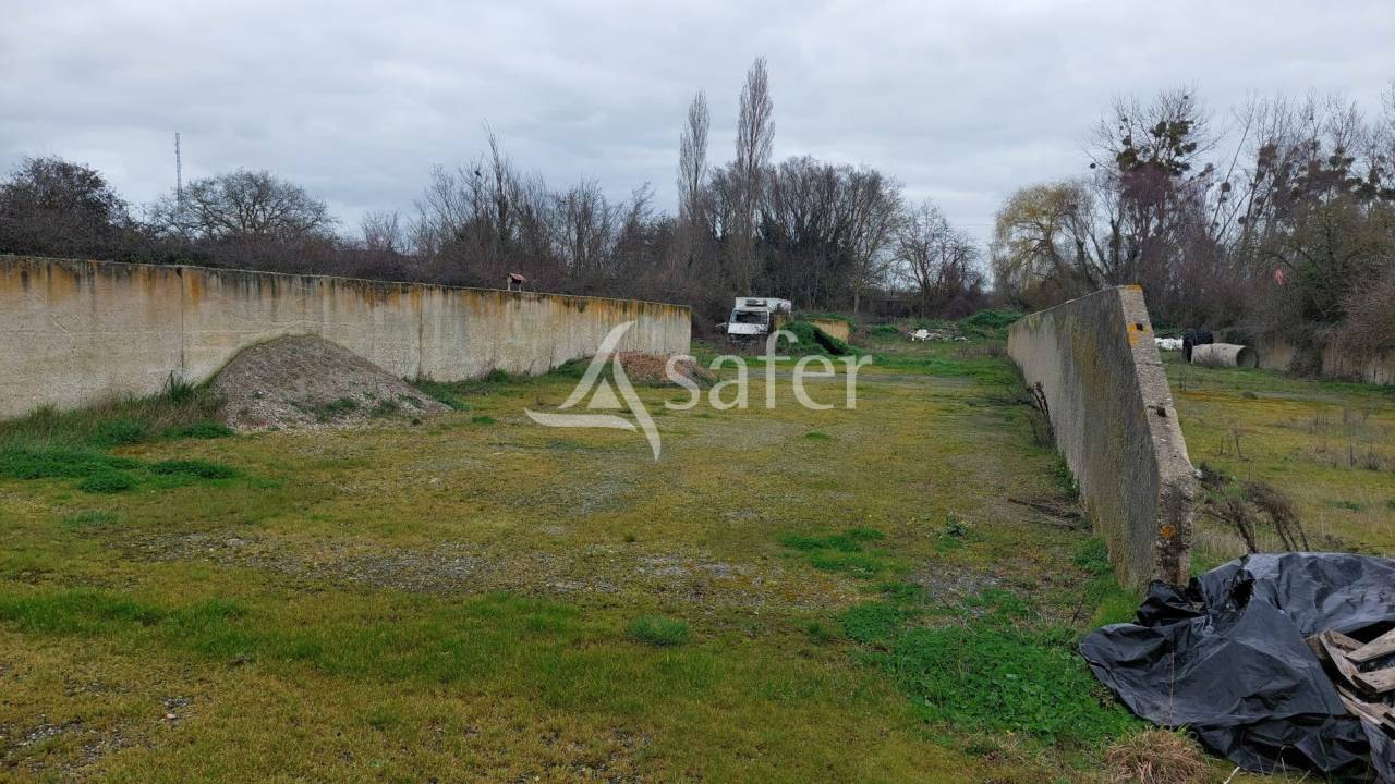 Azienda ovina In vendita Deux-S&egrave;vres