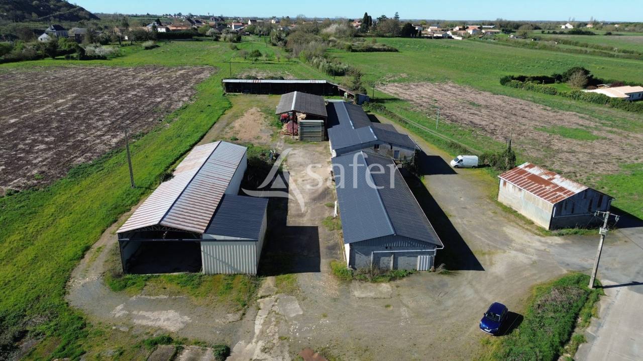 Azienda ovina In vendita Deux-S&egrave;vres