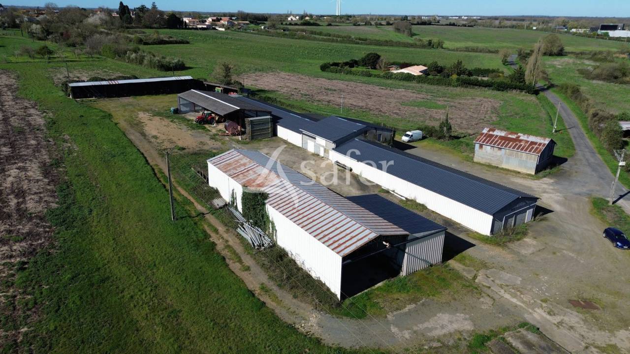 Azienda ovina In vendita Deux-S&egrave;vres