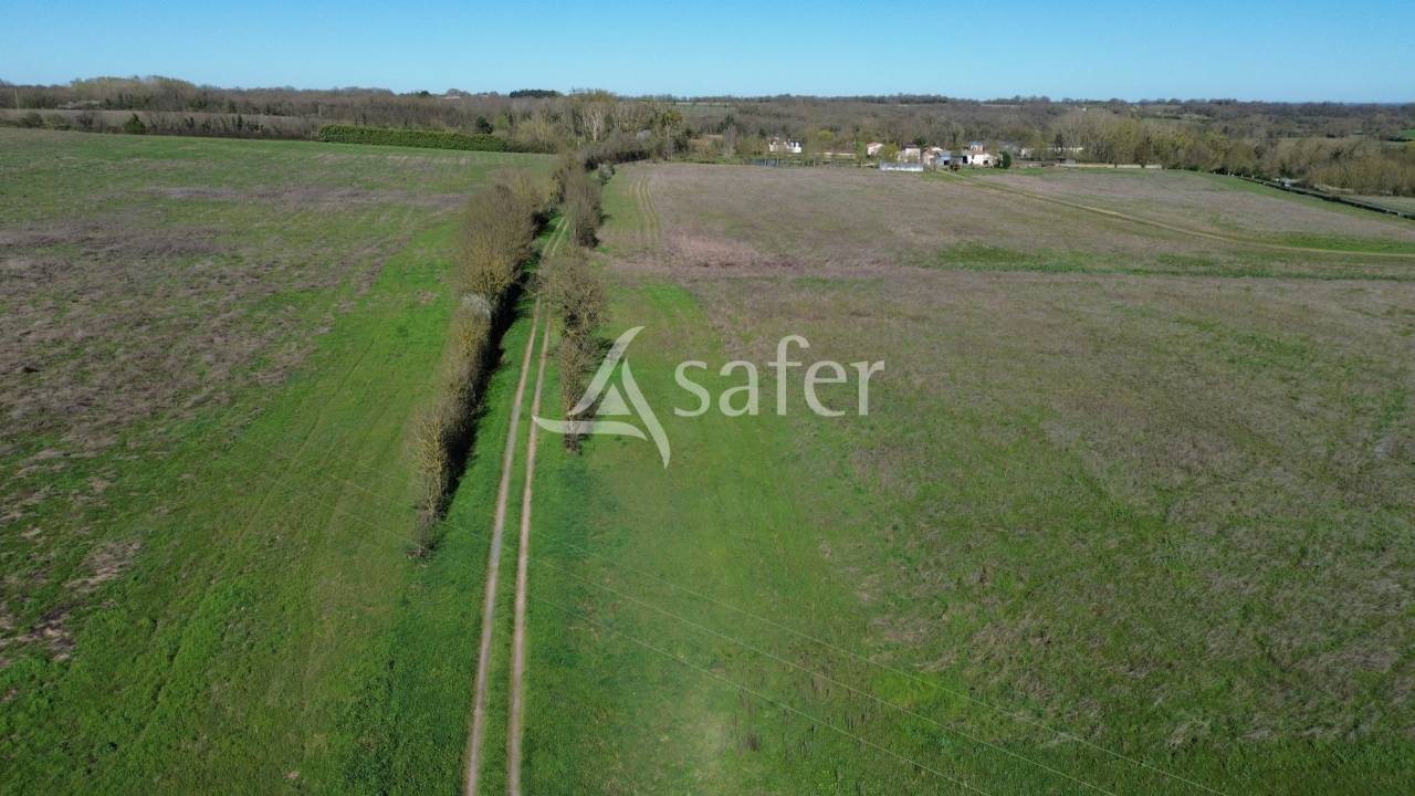Azienda ovina In vendita Deux-S&egrave;vres