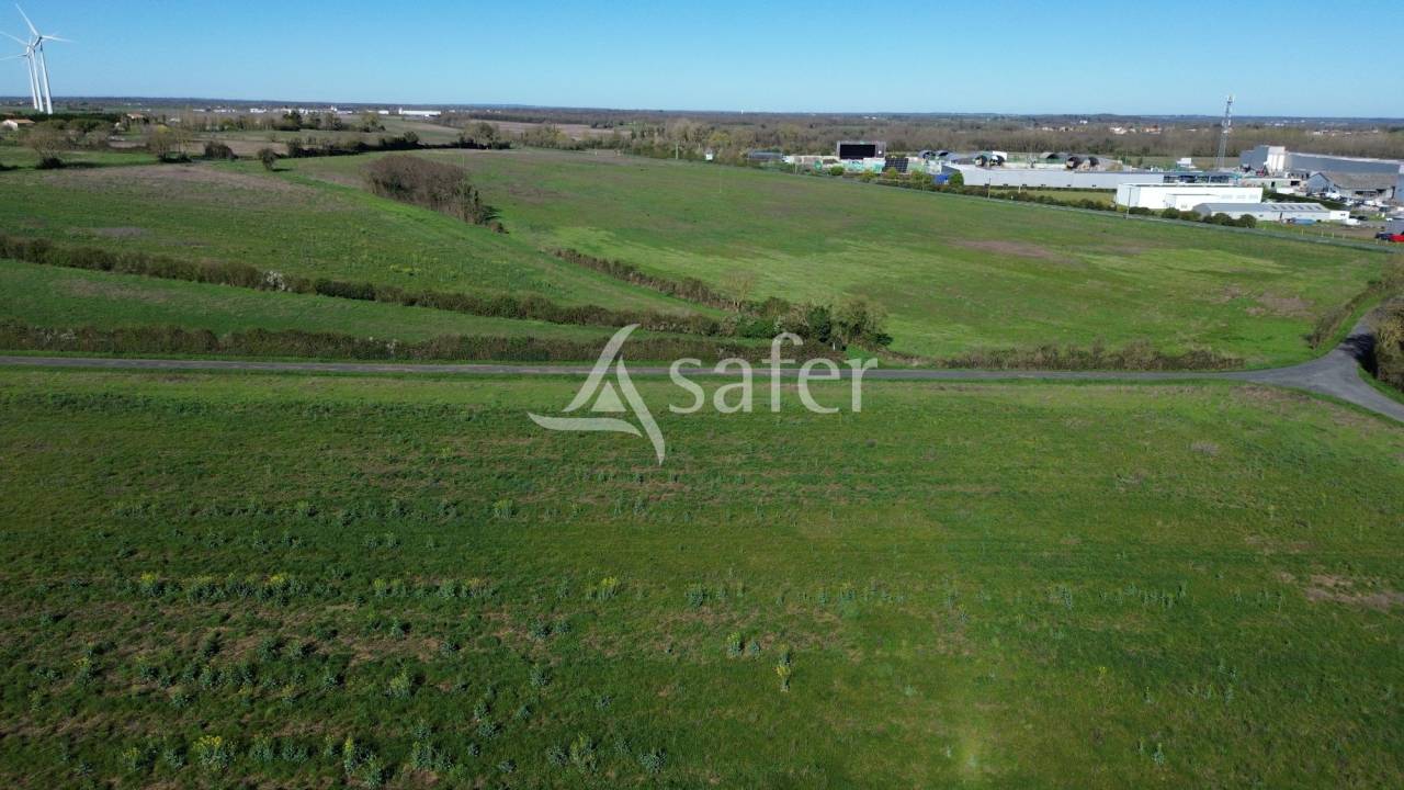 Azienda ovina In vendita Deux-S&egrave;vres