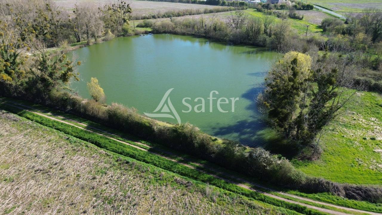 Azienda ovina In vendita Deux-S&egrave;vres