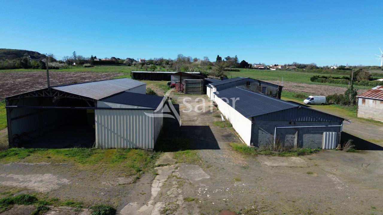 Azienda ovina In vendita Deux-S&egrave;vres