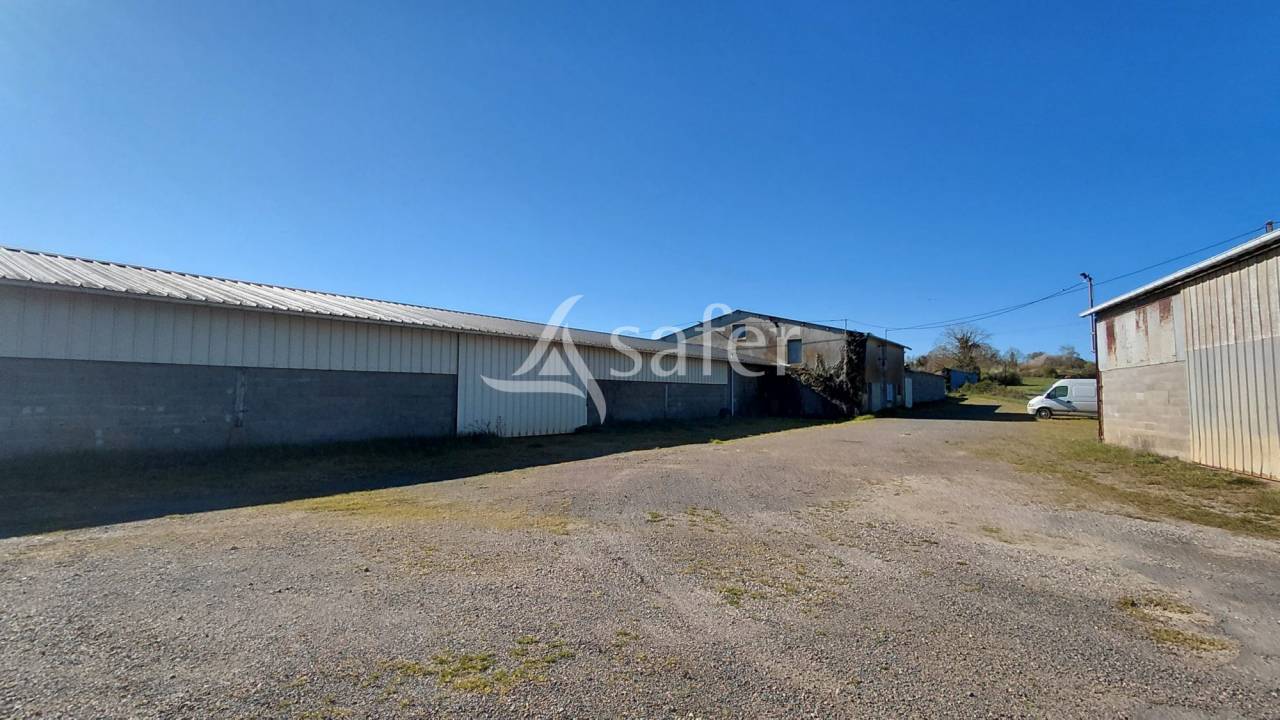 Azienda ovina In vendita Deux-S&egrave;vres