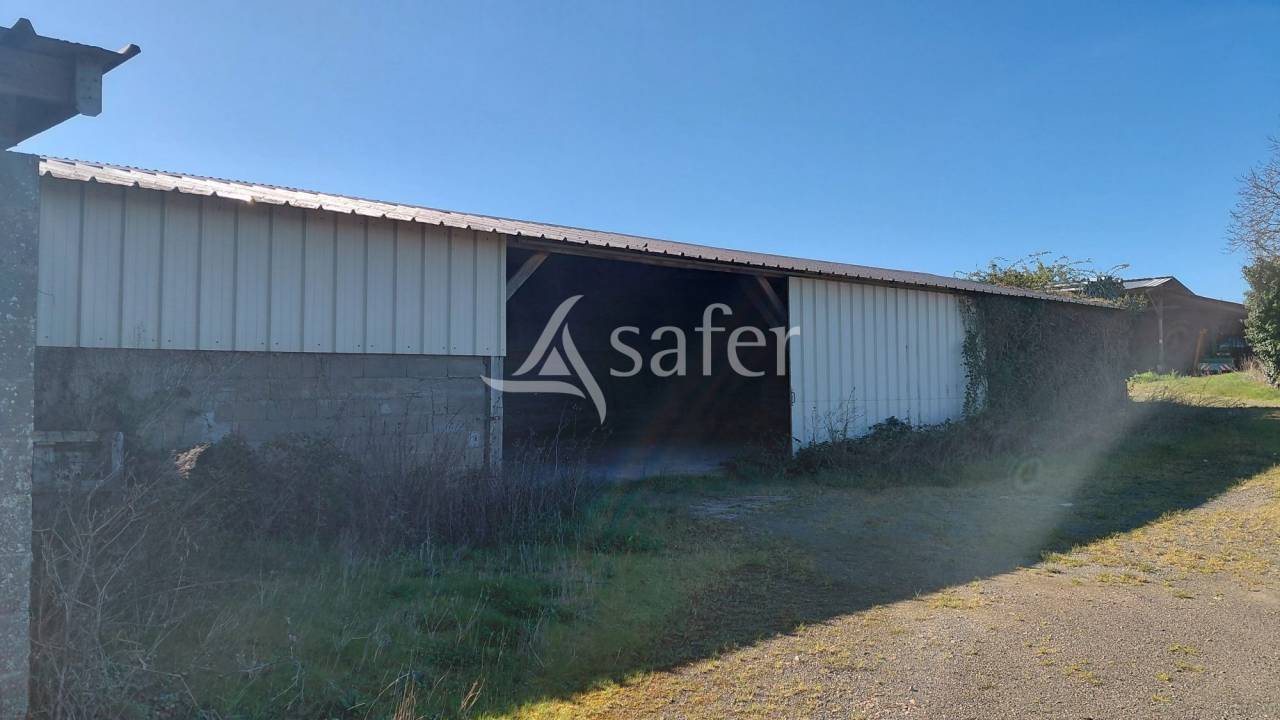 Azienda ovina In vendita Deux-S&egrave;vres