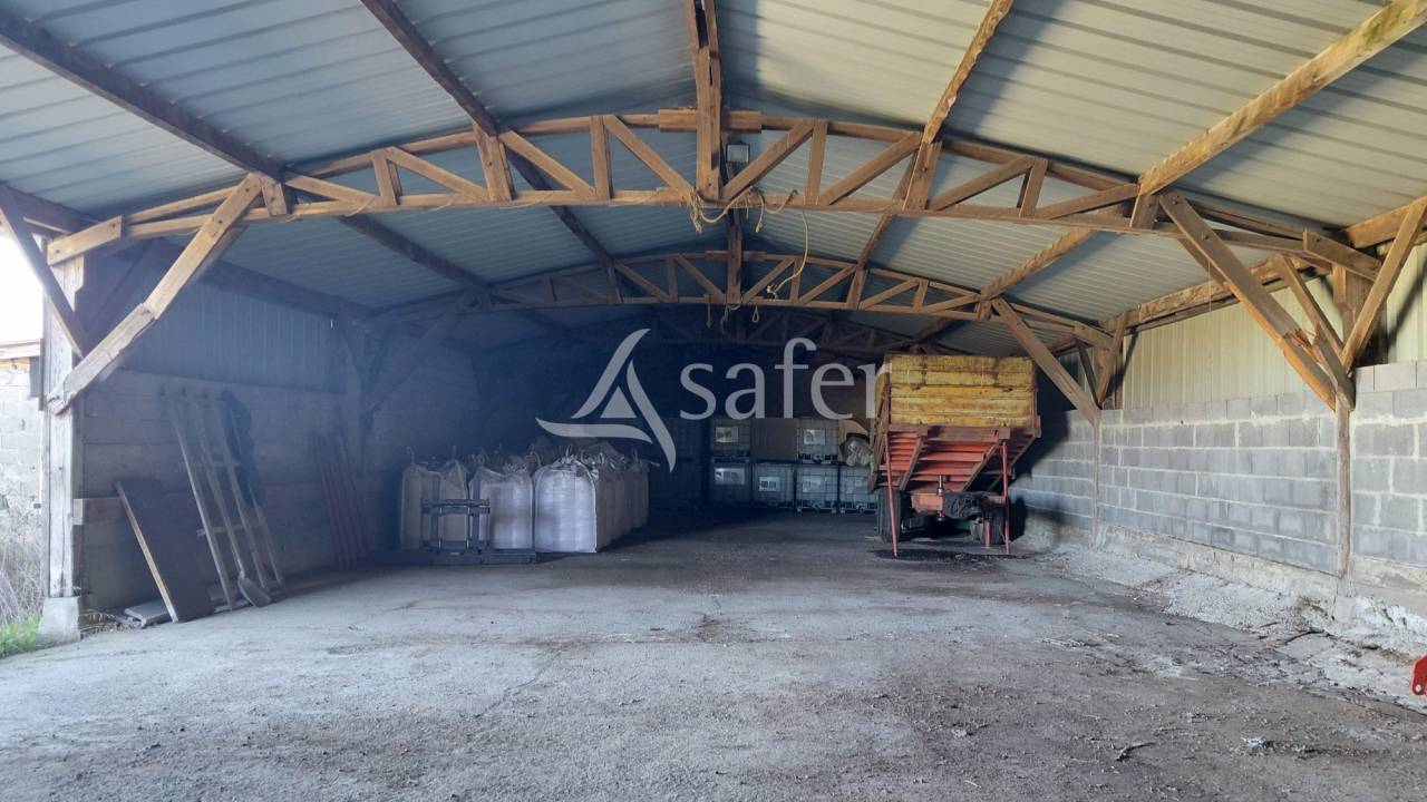 Azienda ovina In vendita Deux-S&egrave;vres