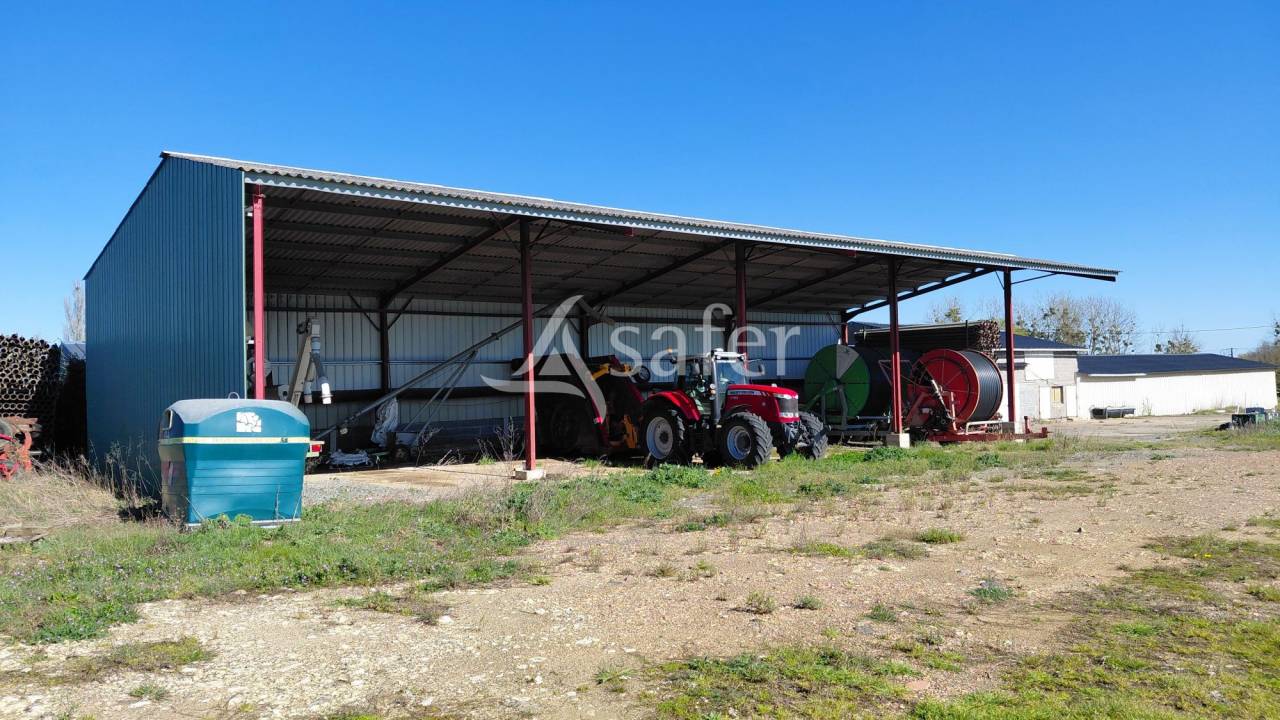 Azienda ovina In vendita Deux-S&egrave;vres