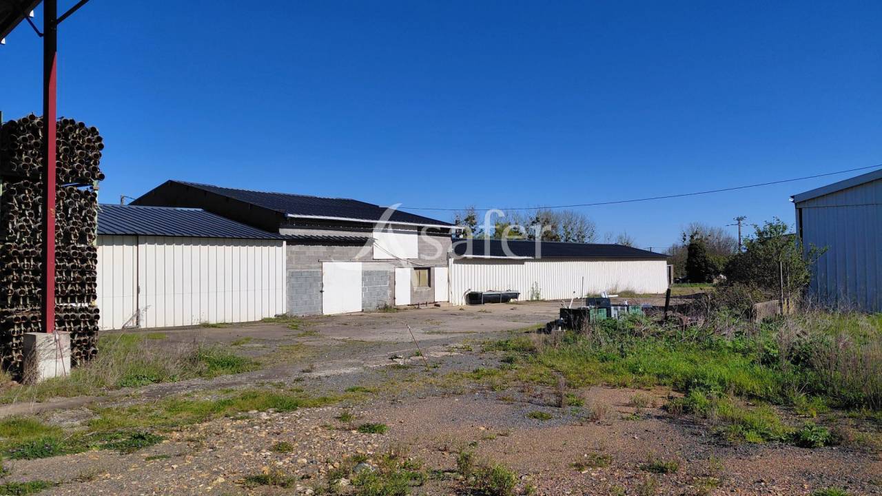 Azienda ovina In vendita Deux-S&egrave;vres
