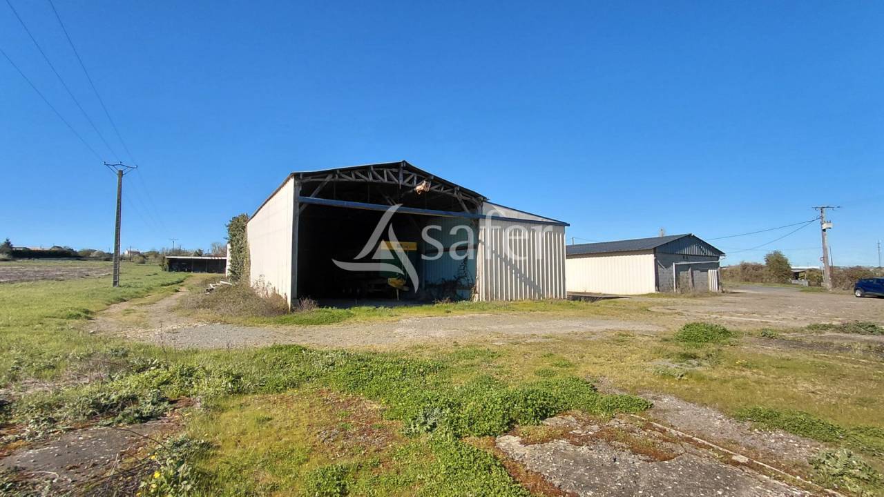 Azienda ovina In vendita Deux-S&egrave;vres