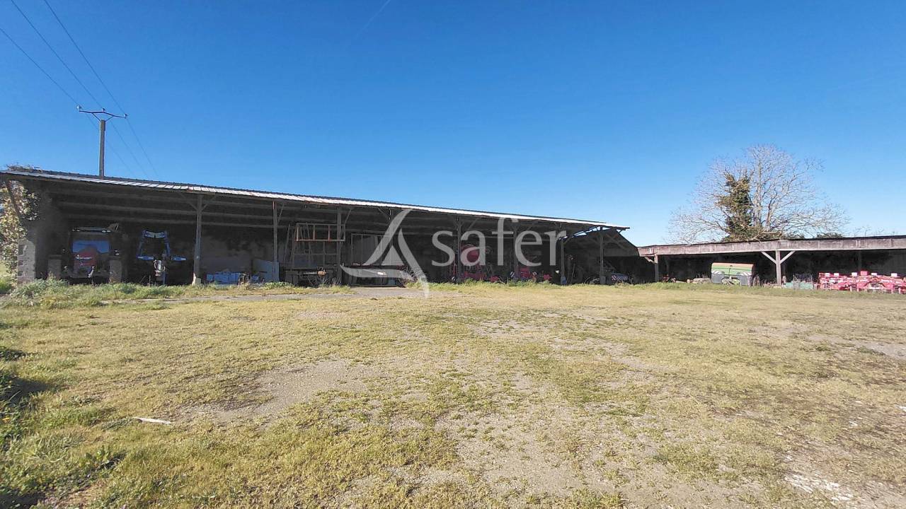 Azienda ovina In vendita Deux-S&egrave;vres