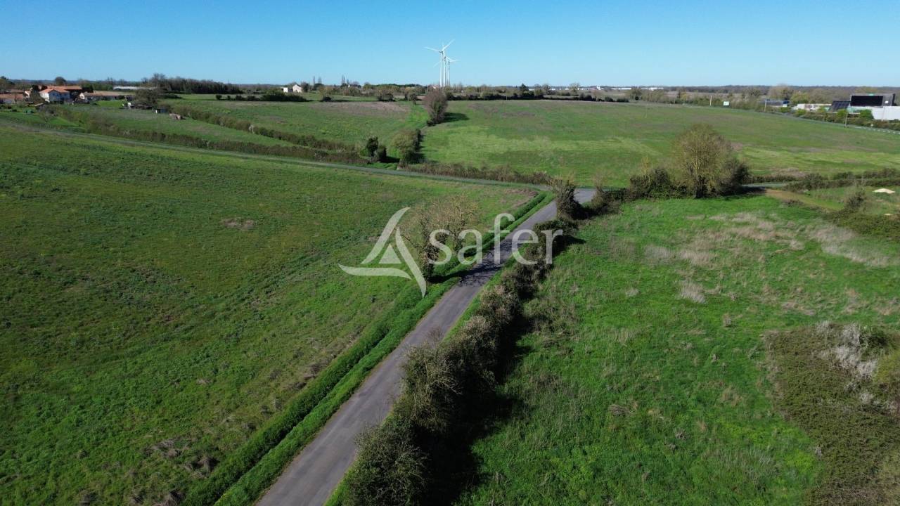 Azienda ovina In vendita Deux-S&egrave;vres