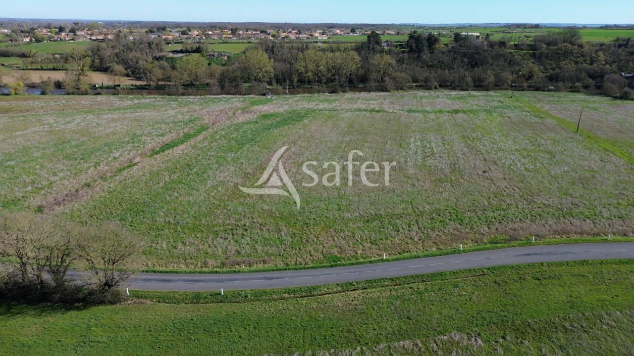 Azienda ovina In vendita Deux-S&egrave;vres