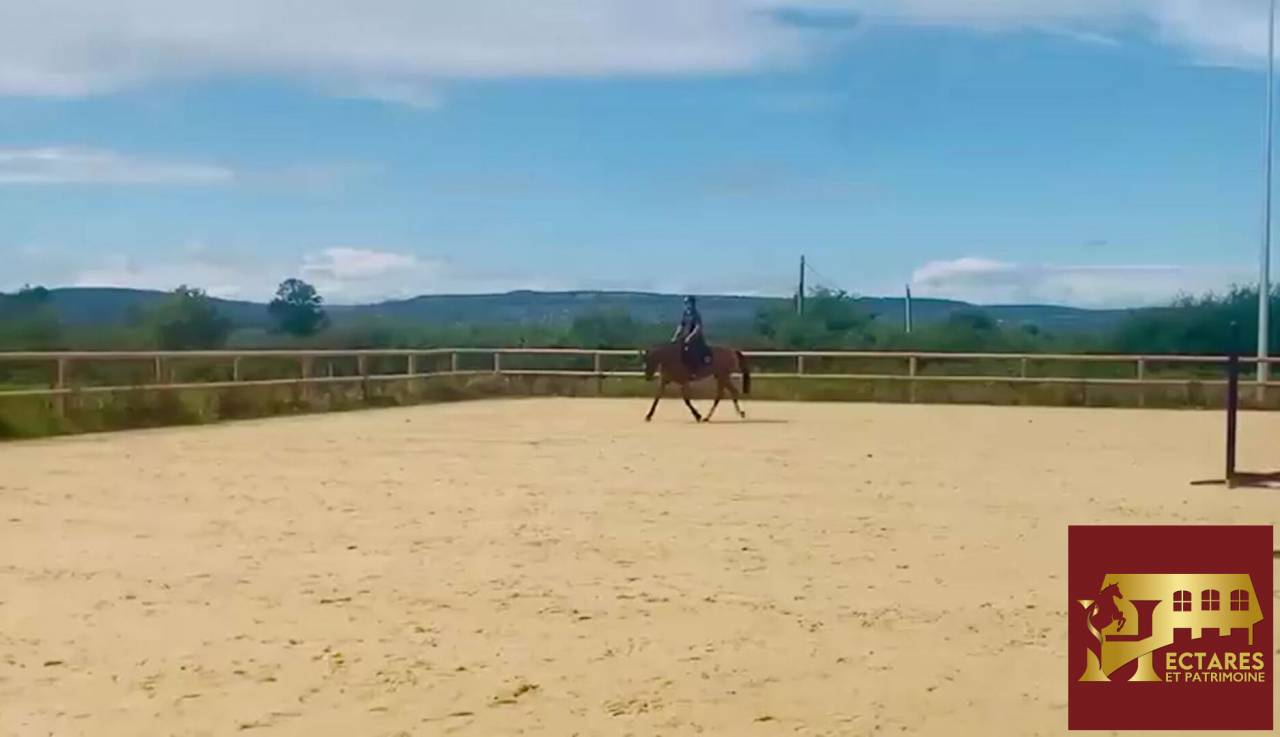 Propriet&agrave; equestre In vendita Sa&ocirc;ne-et-Loire