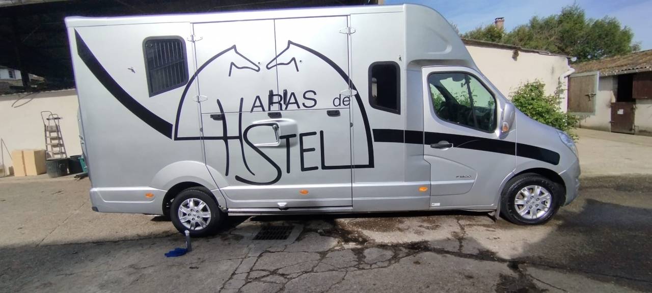 Van per Cavalli MTM  2012 Occasione