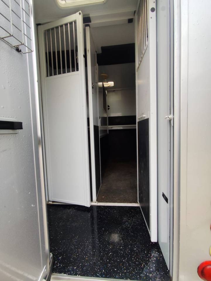 Van per Cavalli MTM  2012 Occasione