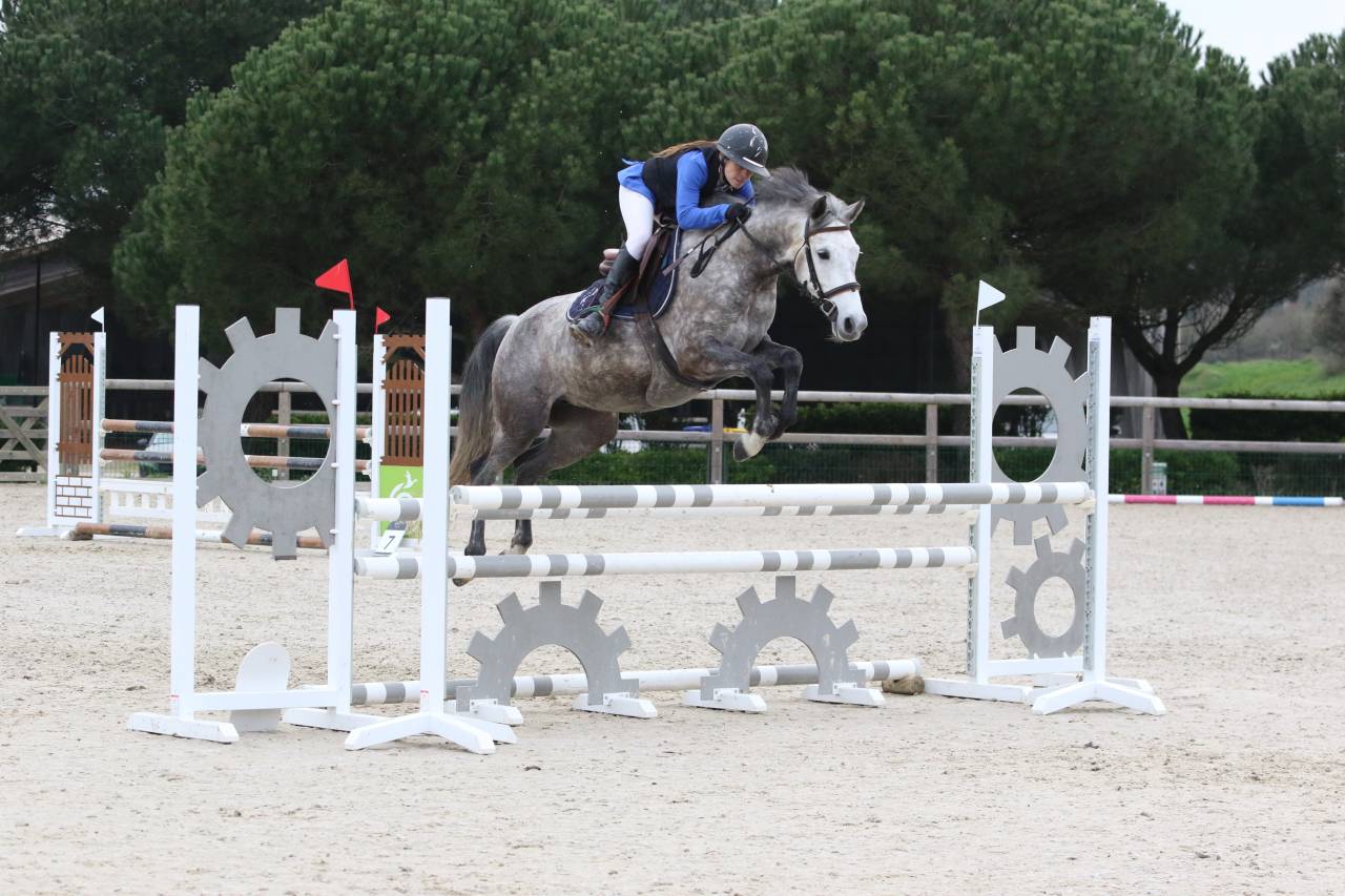 Cavalla PFS Pony Francese da Sella In vendita 2020 Grigio ,  Eros de Vallet