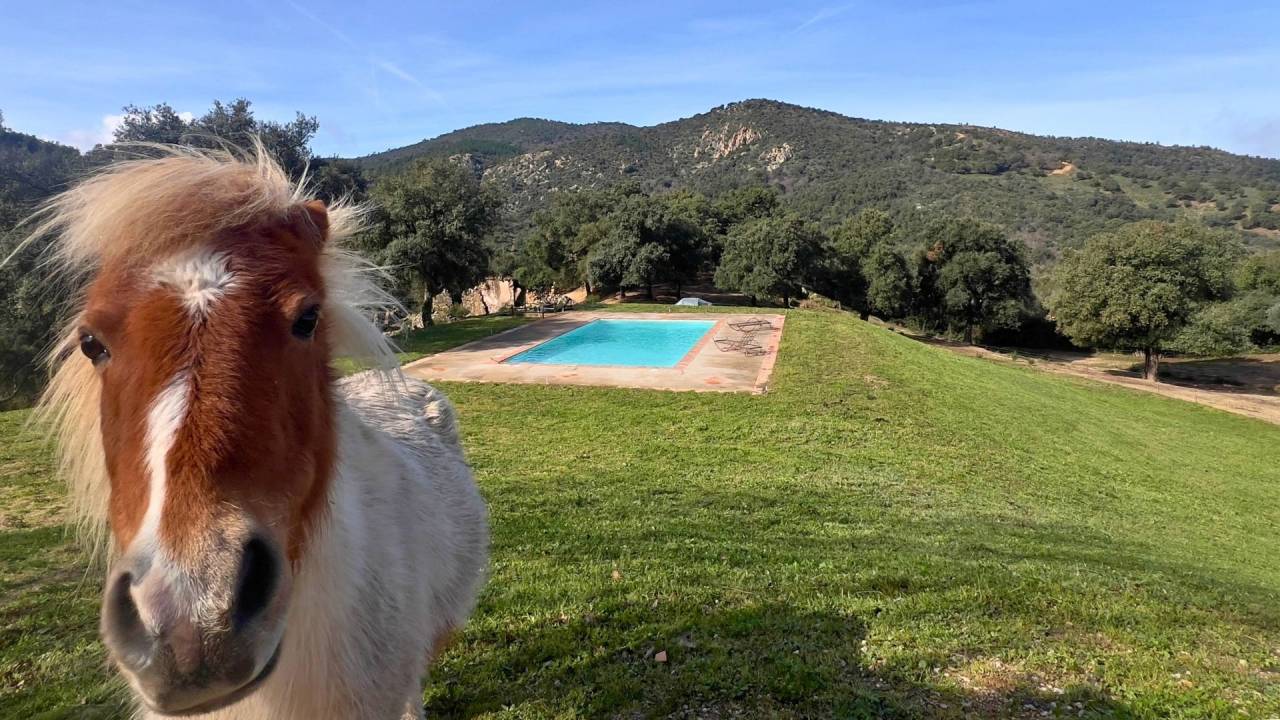 Bella dimora equestre In vendita Var