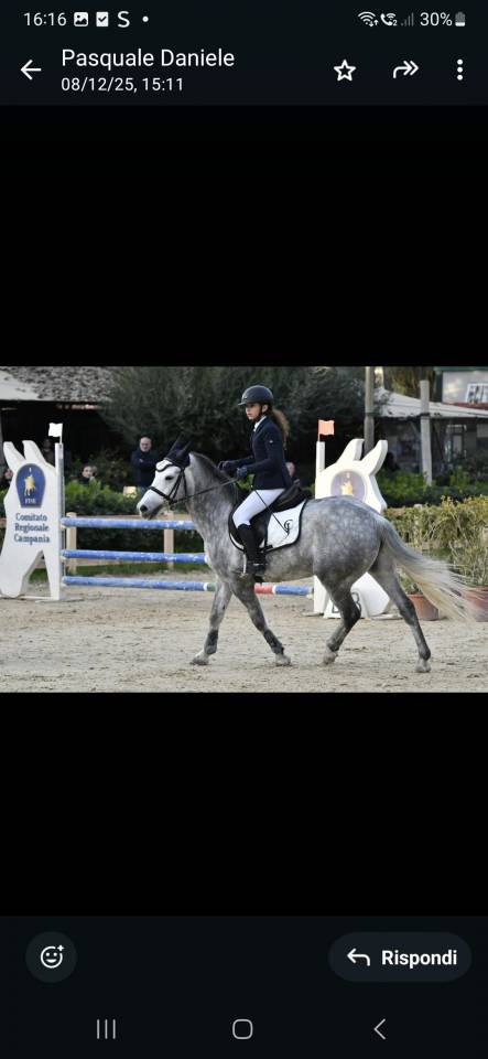 Vendo pony 7yrs hirp