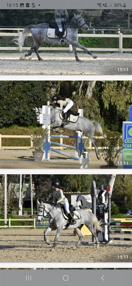 Vendo pony 7yrs hirp