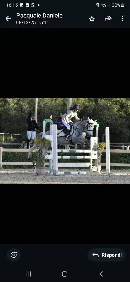 Vendo pony 7yrs hirp