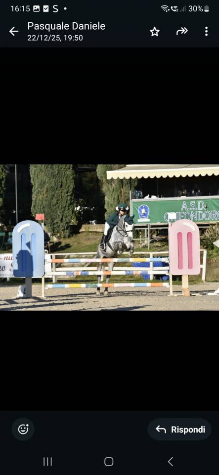 Vendo pony 7yrs hirp