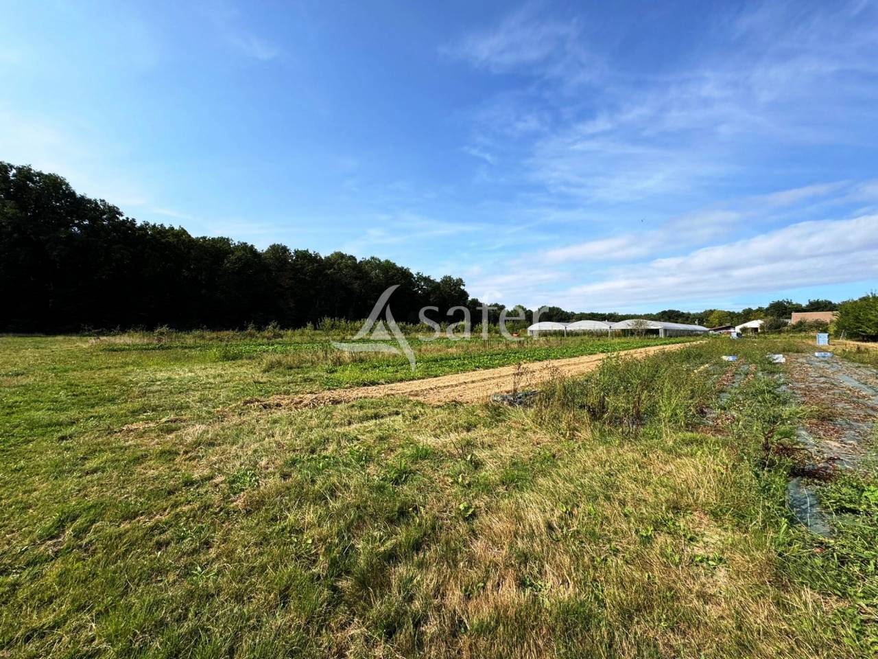 Azienda avicola In vendita Seine-et-Marne