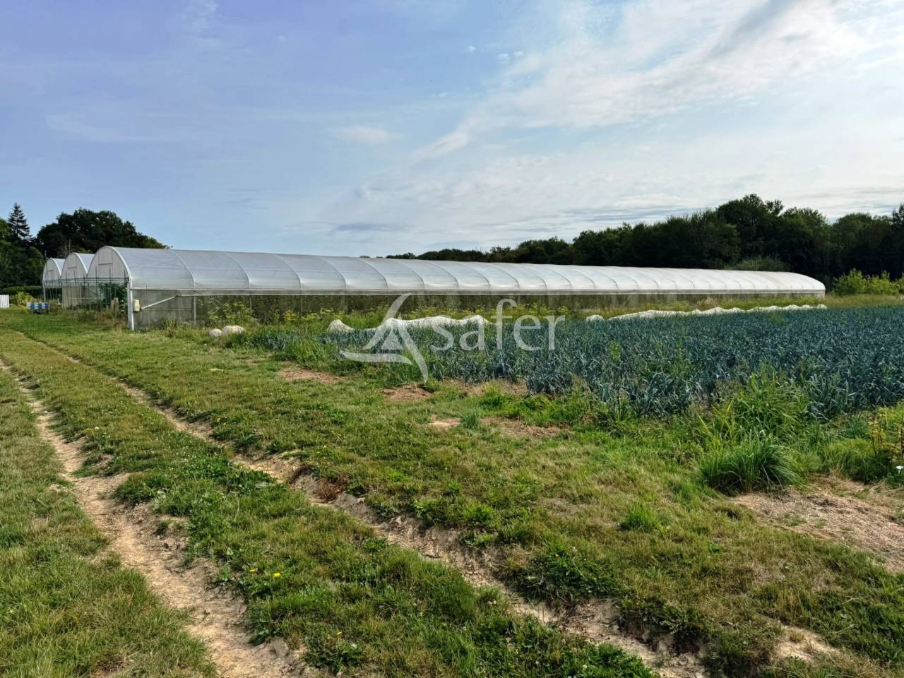Azienda avicola In vendita Seine-et-Marne