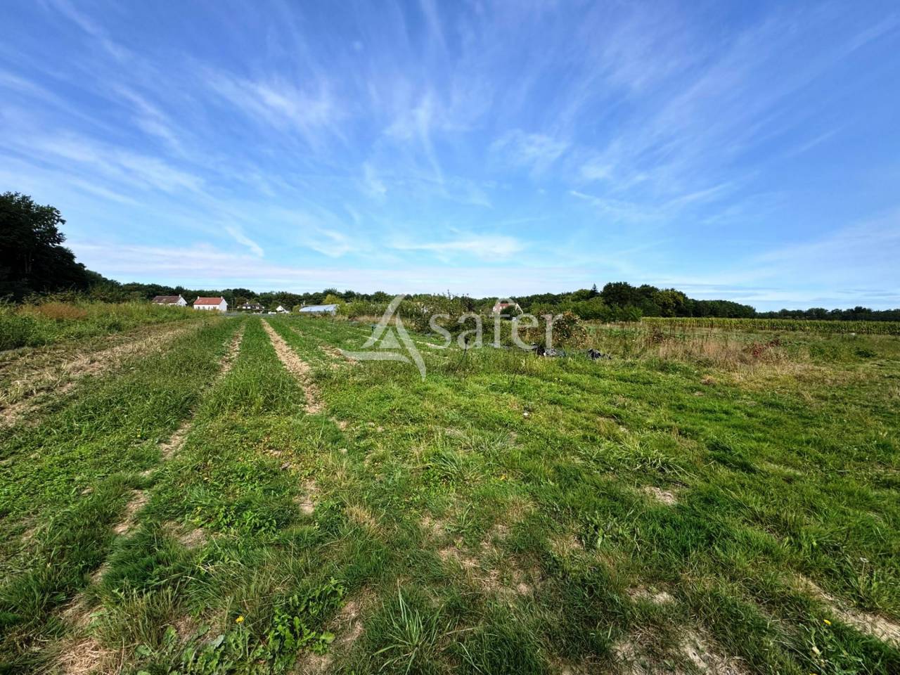 Azienda avicola In vendita Seine-et-Marne