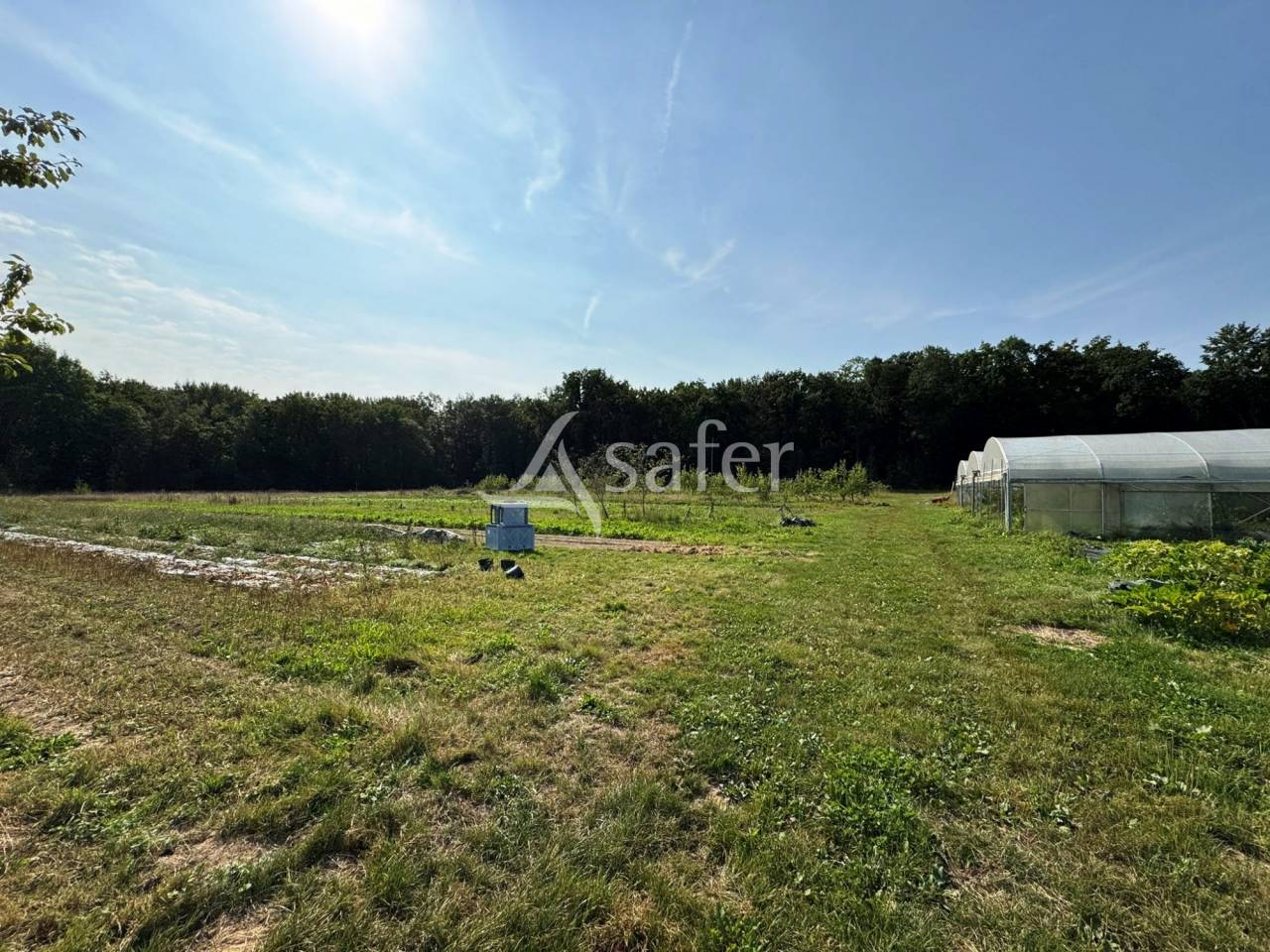 Azienda avicola In vendita Seine-et-Marne